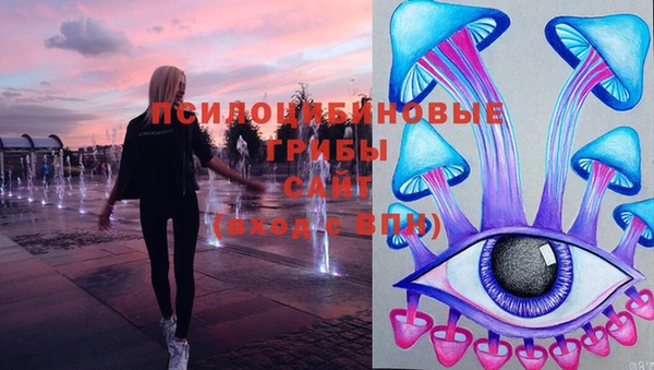 дурь Михайловка