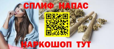 прущие грибы Тула