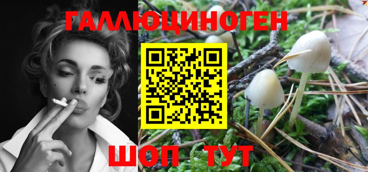 Псилоцибиновые грибы мухоморы Сальск