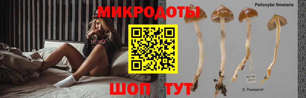 Галлюциногенные грибы мухоморы  Вход с VPN  Псилоцибиновые грибы прущие грибы  Сальск 