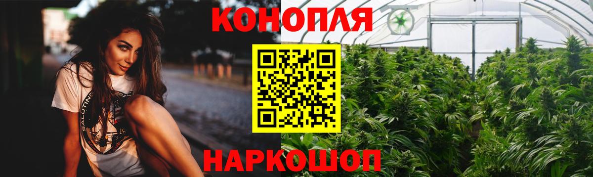 Бошки Шишки Amnesia Сальск